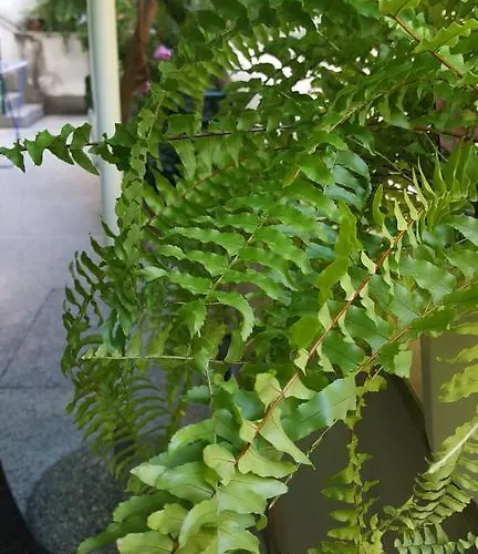 Mucic Apartamento Makarska